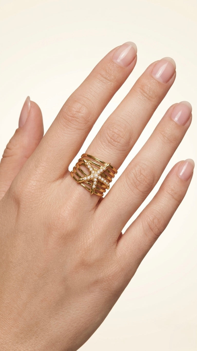 THE NICOBAR RING