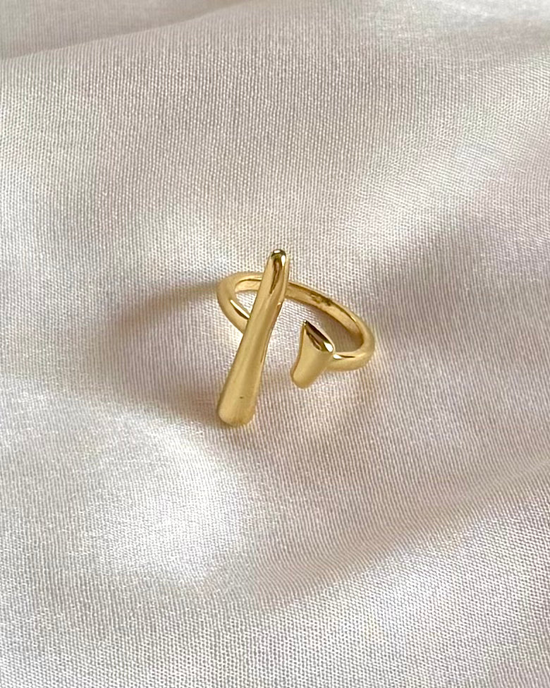 THE MANAS RING
