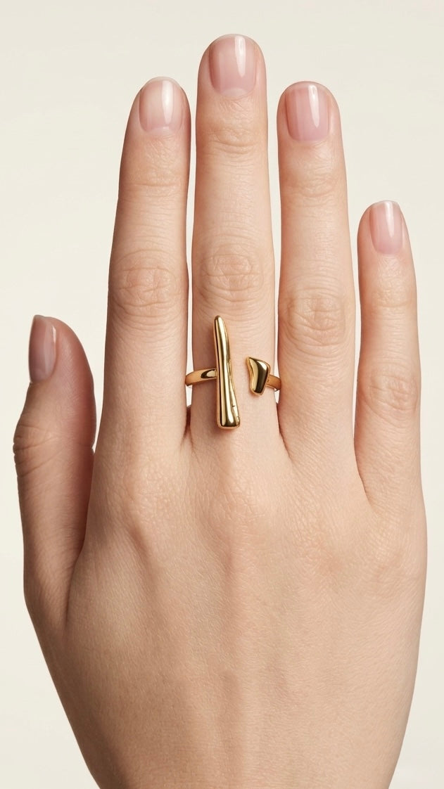 THE MANAS RING