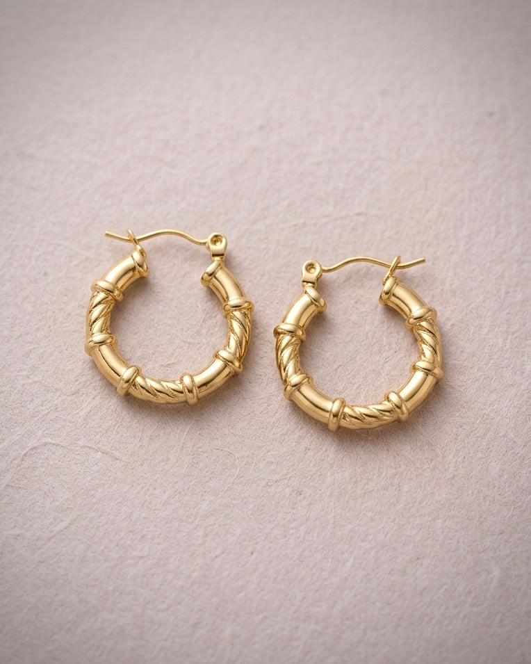 THE BAANS EARRINGS